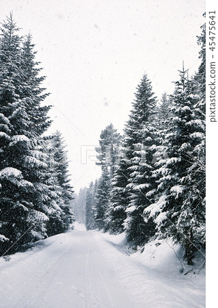Snowy winter alley Snowy winter alley 45475641