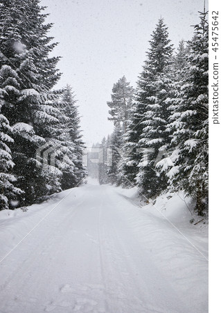 Snowy winter alley Snowy winter alley 45475642