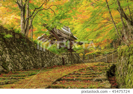 百濟寺秋葉 百濟寺秋葉 45475724