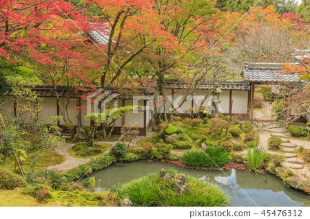 Saige-ji Temple Autumn leaves 45476312