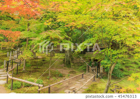 Saige-ji Temple Autumn leaves 45476313