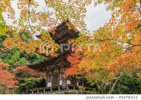 Saige-ji Temple Autumn leaves 45476321