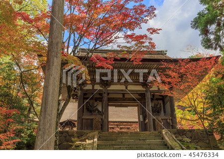 Saige-ji Temple Autumn leaves Saige-ji Temple Autumn leaves 45476334