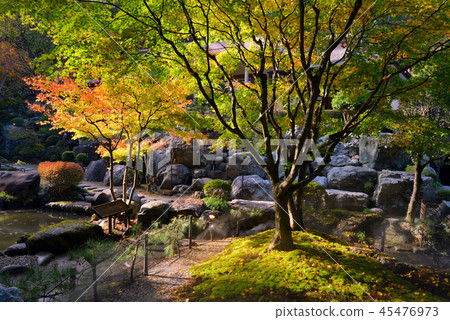 Tokumeien in the fall 45476973