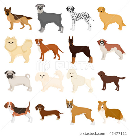 Dog breeds cartoon icons in set collection for... - Stock Illustration ...