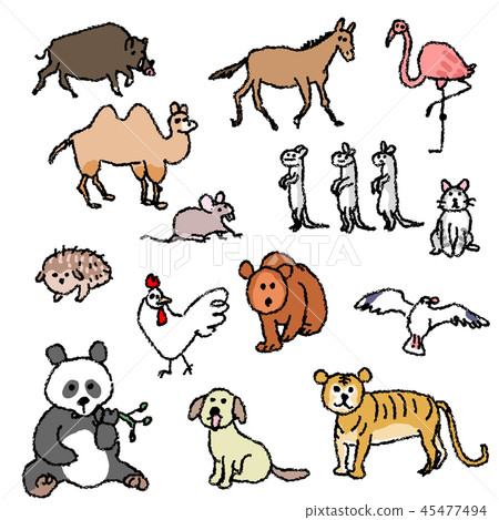Animals Animals 45477494