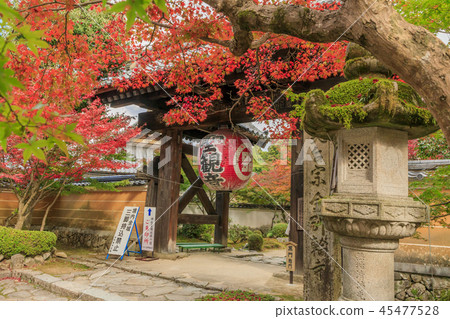 Kimpo Wing Temple Autumn leaves Kimpo Wing Temple Autumn leaves 45477528