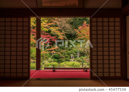 金浦永寺秋葉 45477539