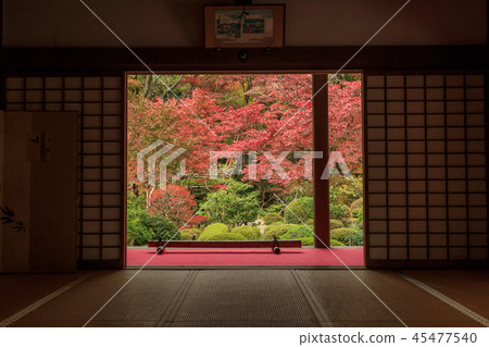Kimpo Wing Temple Autumn leaves Kimpo Wing Temple Autumn leaves 45477540