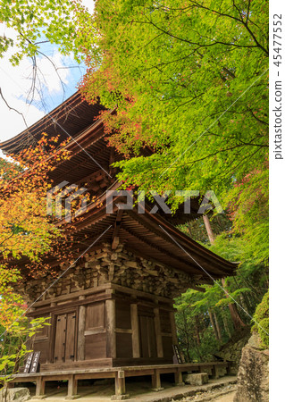 金浦永寺秋葉 45477552