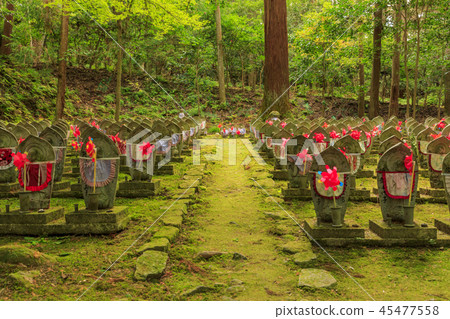 金浦永寺秋葉 45477558