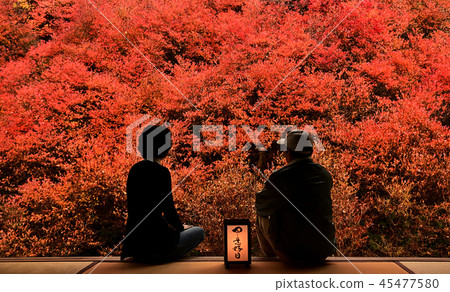 Ankoji temple 45477580