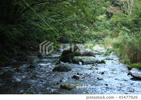 山間溪流 45477926