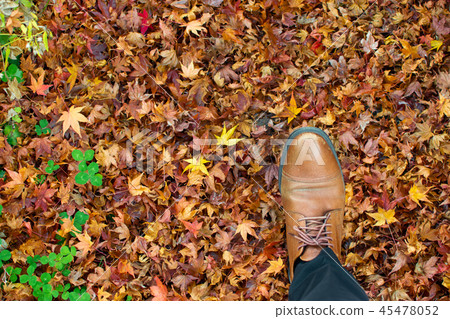 Right foot taking a step on the fallen leaves Right foot taking a step on the fallen leaves 45478052