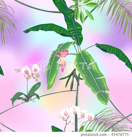 Seamless pattern, background. with tropical plants 45478775