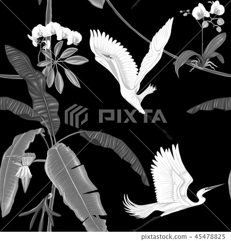 Seamless pattern, background. with tropical plants 45478825