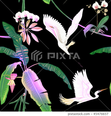 Seamless pattern, background. with tropical plants Seamless pattern, background. with tropical plants 45478837
