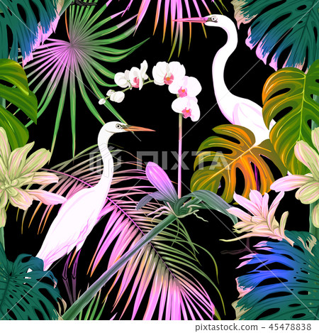 Seamless pattern, background. with tropical plants 45478838