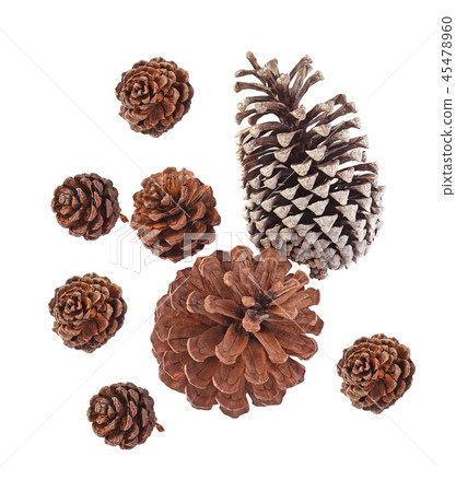 Top view of Big set cones various coniferous trees 45478960