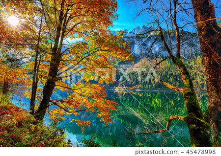 autumn scenery with Dachstein mountain summit autumn scenery with Dachstein mountain summit 45478998
