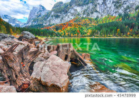idyllic colorful autumn scenery in Gosausee la idyllic colorful autumn scenery in Gosausee la 45478999