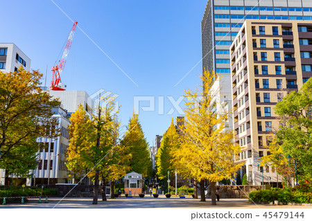 Tokyo Oohahamacho Park 45479144