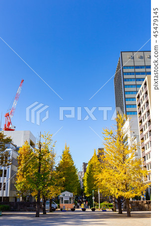 東京Oohahamacho公園 東京Oohahamacho公園 45479145