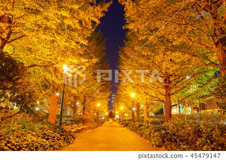 Tokyo, night, yellow leaf beach town park 45479147