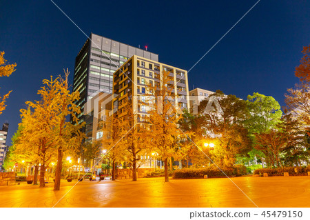 Tokyo, night, yellow leaf beach town park 45479150