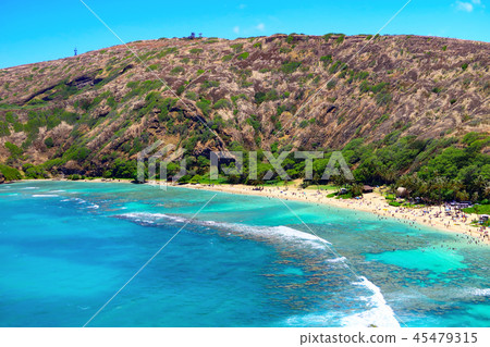 夏威夷哈瑙瑪灣 夏威夷哈瑙瑪灣 45479315
