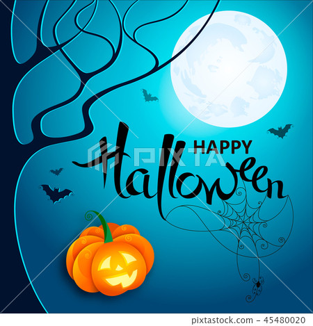 Halloween with web, spider and bats Halloween with web, spider and bats 45480020