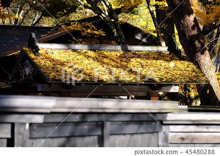 Michinoku Small Kyoto Kadokan Autumn colored samurai residence street Michinoku Small Kyoto Kadokan Autumn colored samurai residence street 45480288