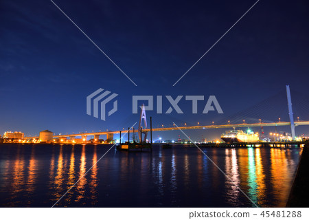 <Plant night view> Shiomi Pier Nagoya Port Triton 45481288