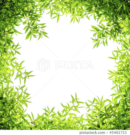 Green leaf frame 45481721