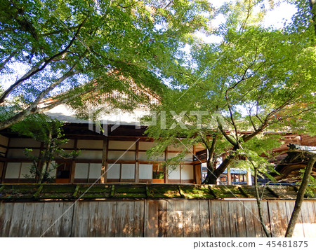 Saikyoji Temple Hall of Fame Saikyoji Temple Hall of Fame 45481875