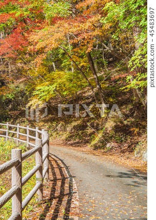 Shosenkyo Goryo Shosenkyo Fall leaves Walk Autumn Fall Image Mountains 45483697