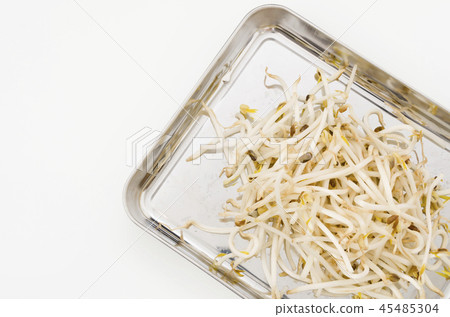 Bean sprouts Bean sprouts 45485304