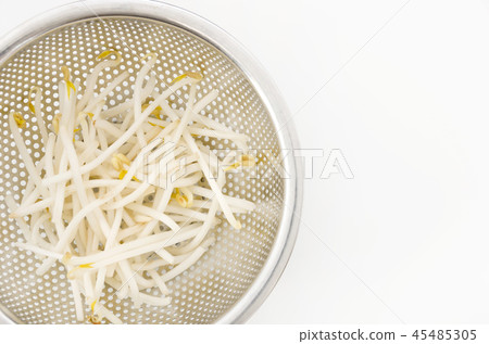 豆芽 45485305