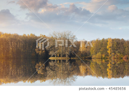 autumn forest by the lake 45485656