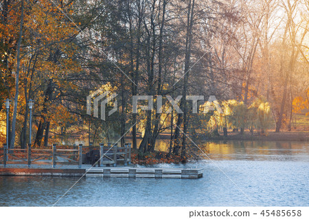 autumn forest by the lake 45485658