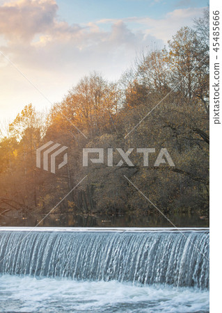 autumn forest by the lake 45485666