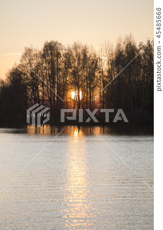 autumn forest by the lake 45485668