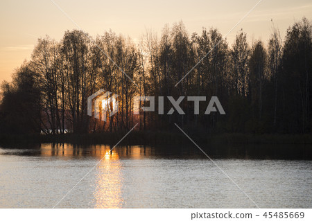 autumn forest by the lake 45485669
