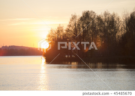 autumn forest by the lake 45485670