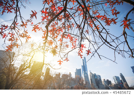 New York City Manhattan Central Park 45485672