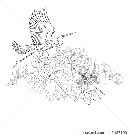 A composition of tropical plants, palm leaves A composition of tropical plants, palm leaves 45487169