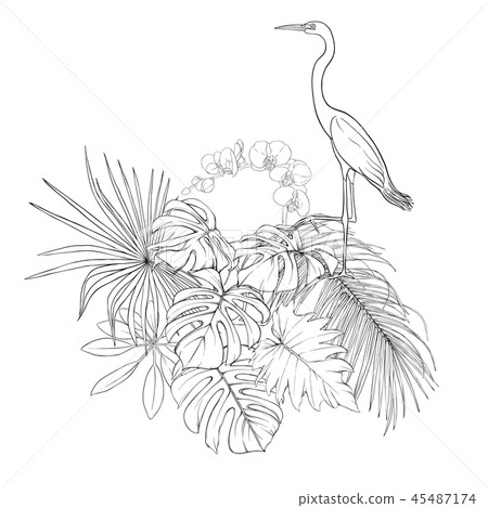 A composition of tropical plants, palm leaves 45487174