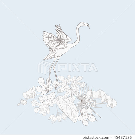 A composition of tropical plants, palm leaves A composition of tropical plants, palm leaves 45487186