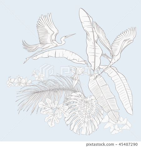 A composition of tropical plants, palm leaves 45487290