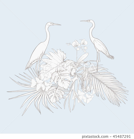 A composition of tropical plants, palm leaves 45487291